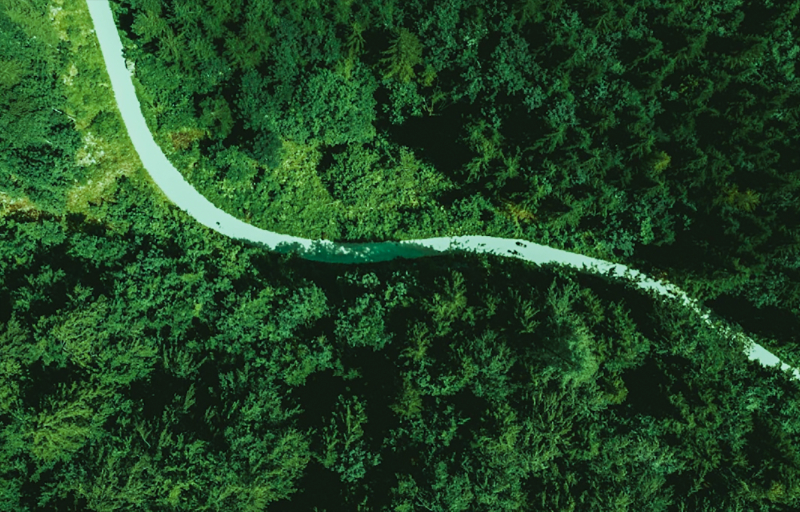 �������������������ƶ���ɫ����