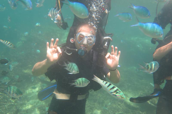 6165cc��ɳ��վ(China)������޹�˾-BinG�ٿ�