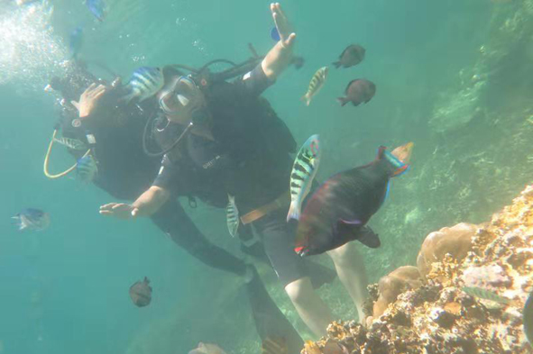 6165cc��ɳ��վ(China)������޹�˾-BinG�ٿ�