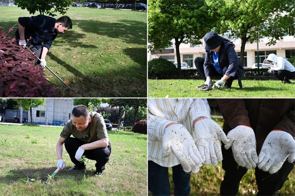 6165cc��ɳ��վ(China)������޹�˾-BinG�ٿ�